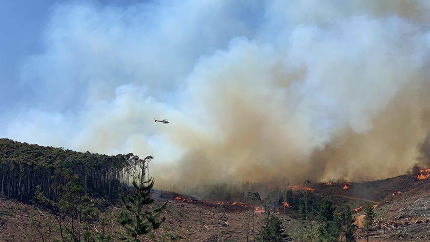 A dozen firefighting crews and three choppers tried to contain the fire. Photo: Fabian Norrie/GOFABVIDS