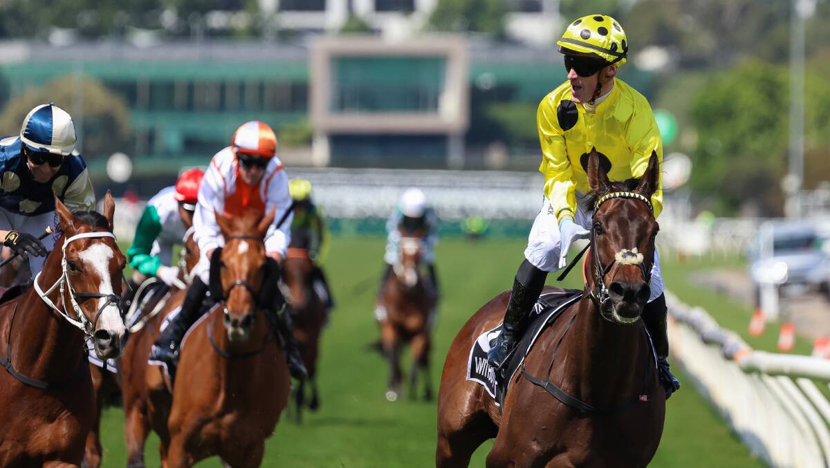 Jockey Mark Zahra celebrates Without A Fight's victory in the 2023 Melbourne Cup. Picture Getty Images