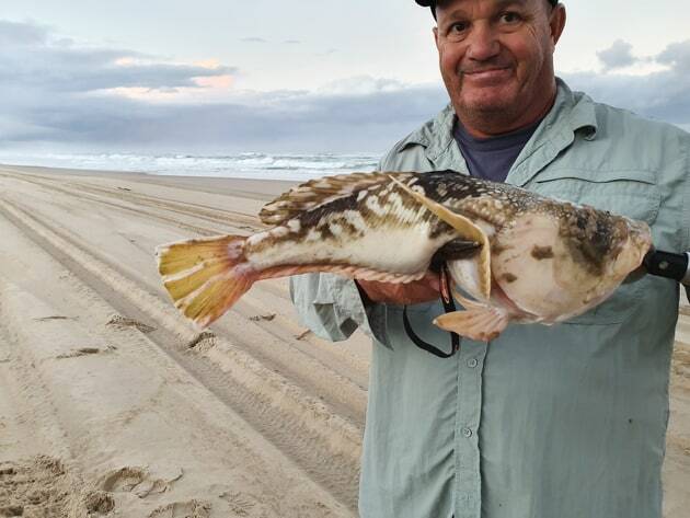Berkley picture of the week: Jason McIntyre with a rather rare Spotted Stargazer that he caught off North Beach. Picture: Supplied