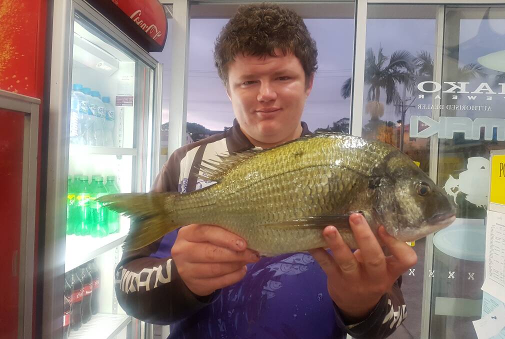 Top catch: Kegan Shafer recently caught this terrific 1.590 kilo bream in the Hastings River. Picture: Supplied
