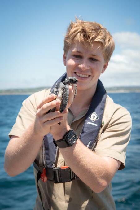 OFFSHORE: Robert Irwin, son of Steve Irwin, with Lucky the green sea turtle.