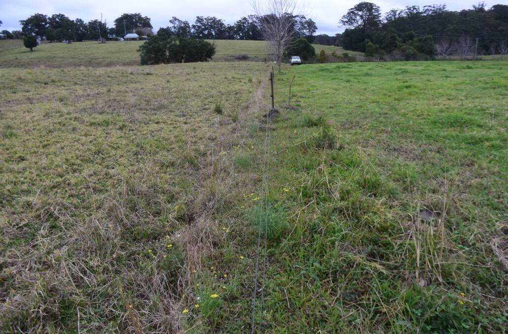There is a clear difference between the two paddocks on the same alluvial flat.