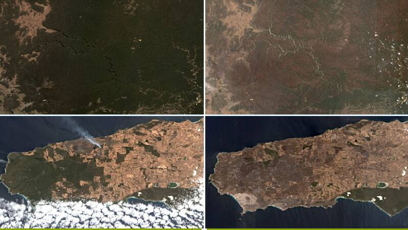 All images courtesy of Google Earth Engine, Landsat and Sentinel-2. 