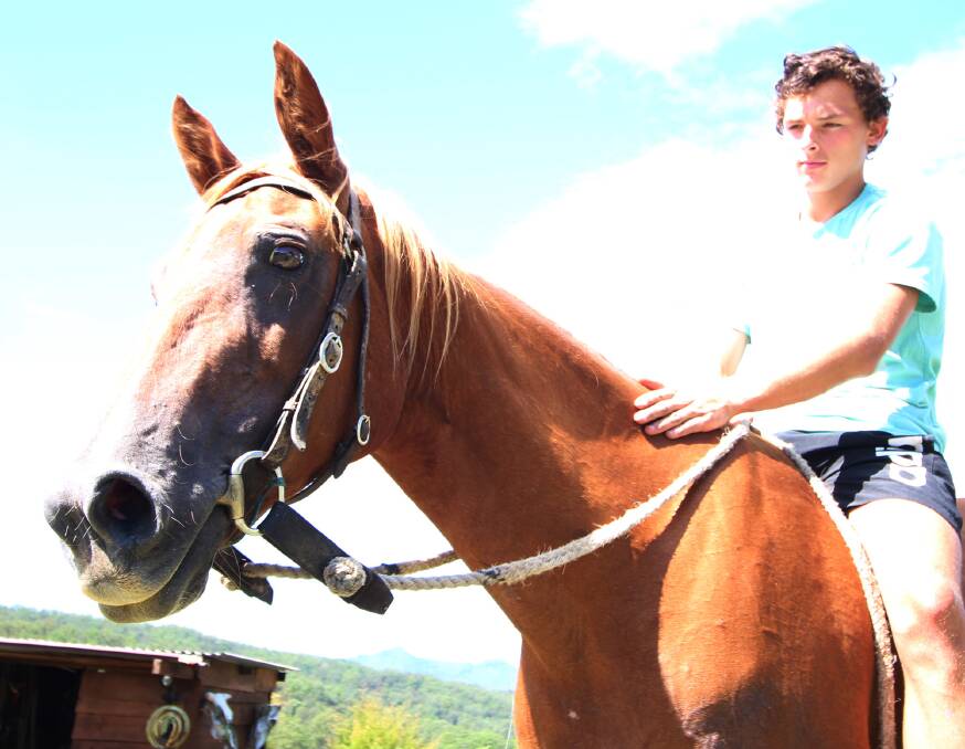 Meet Clay Baker: this Nambucca boy is a real-deal brumby whisperer
