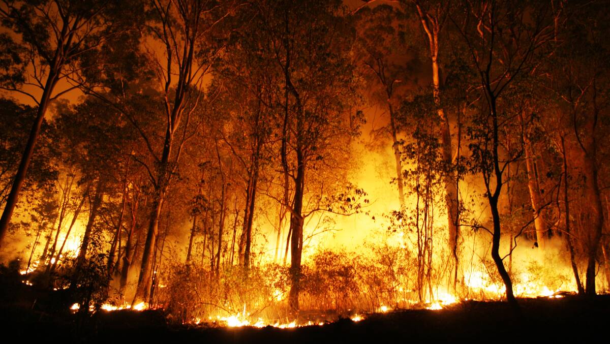 What's your plan: Having a Bushfire Survival Plan will help you avoid making last minute decisions that could be deadly.