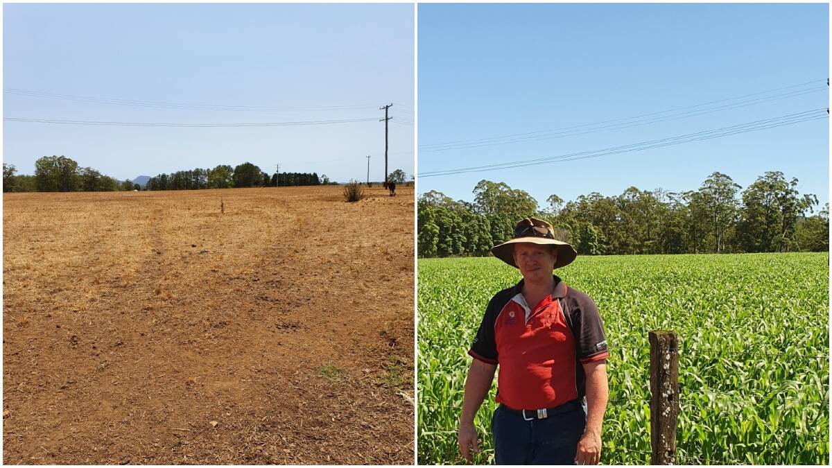 The difference of two months: Farmer Luke Cleary in front of the same paddock in early January and mid February Photo: supplied