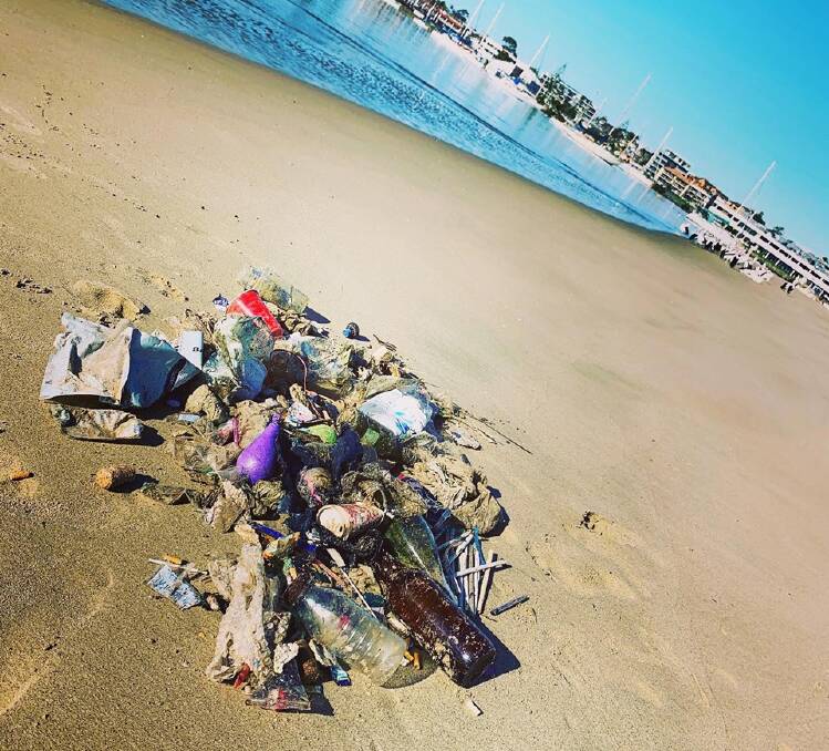 No good: Litter found by Coastal Warriors at Pelican Island. Photo: Coastal Warriors