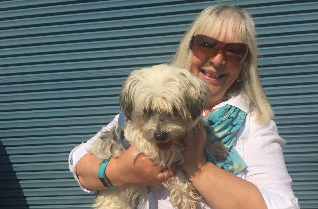 Looking for a home: Lulu with Carolyn Smith. 