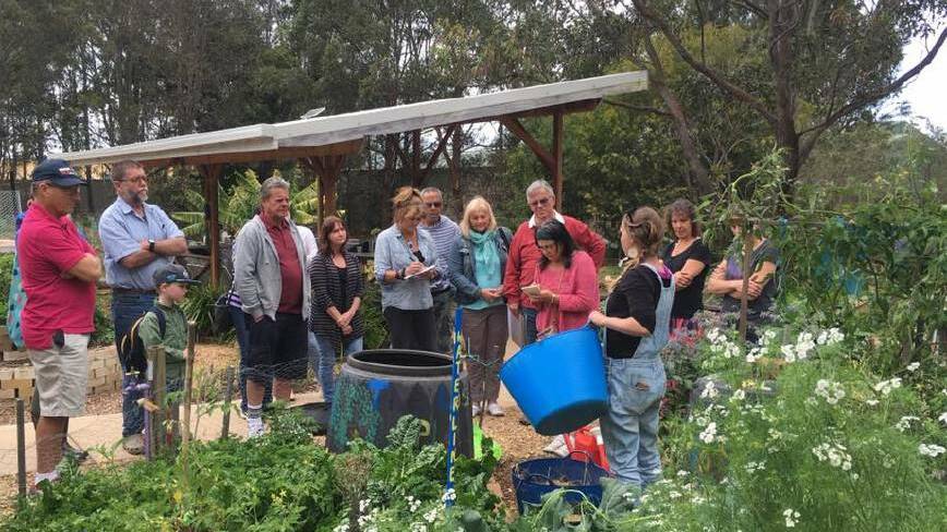 The community garden 'The Lost Plot' in Port Macquarie. PHOTO: Port News