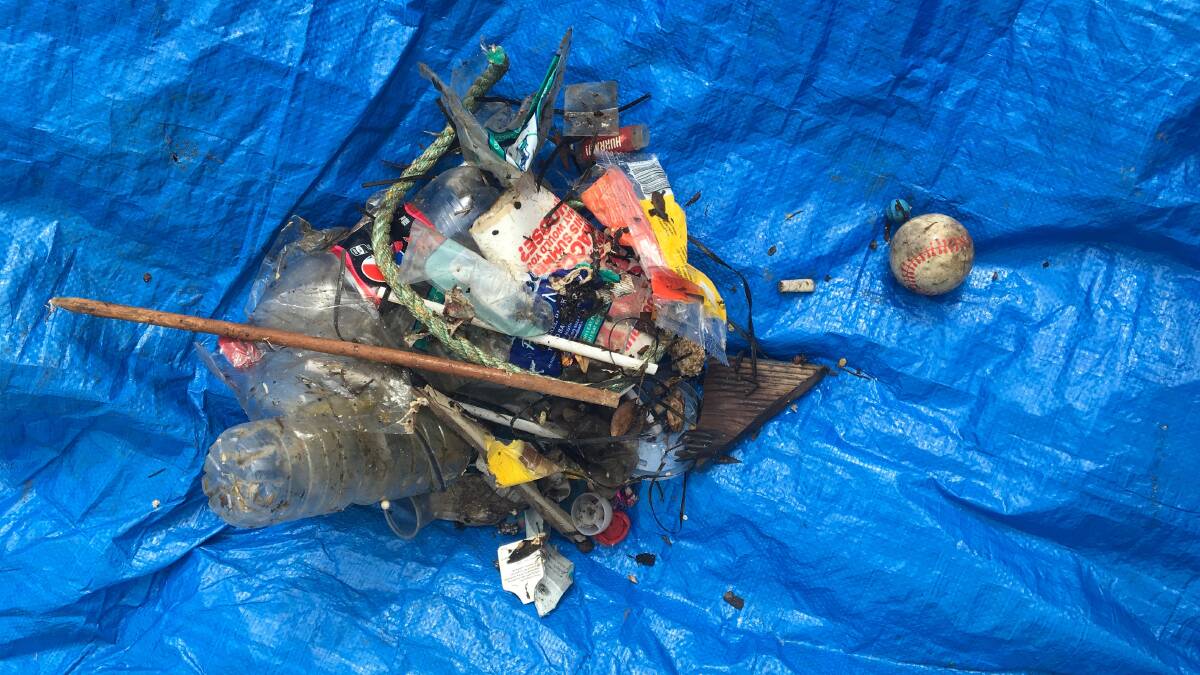 Rubbish captured by Port Macquarie's Seabins. PHOTO: Meeghan Stephens