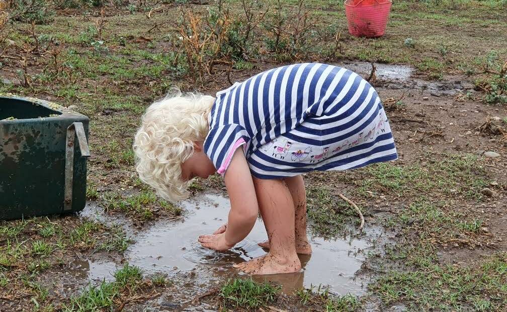 Adorable: Three-year-old Ruby Cleary, granddaughter of Brombin dairy farmers Sue and Leo Cleary, enjoying the wetter conditions. Photo: supplied
