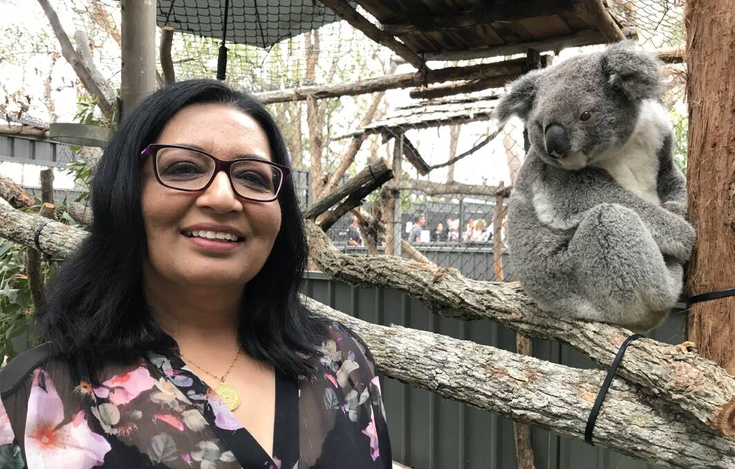 Meeting of friends:Dr Mehreen Faruqi at the Port Macquarie Koala Hospital. Photo: Carla Mascarenhas 