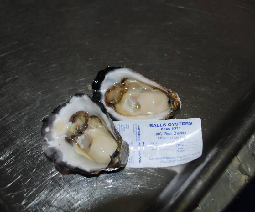 SURF YOUR TURF: Oysters and beef are both being produced locally and can be purchased at their two retail stores in Kempsey  and at South West Rocks. 