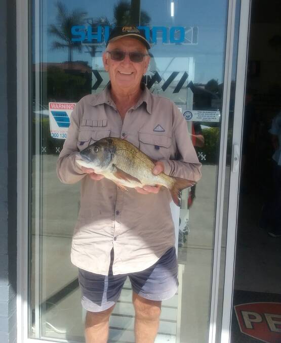Nice one: There should be some terrific bream about in the coming months, like this excellent 1.52 kilogram specimen Frank Bardell recently caught in the Hastings River.
 