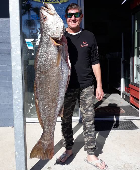 Whopper: There have some terrific mulloway active in the Hastings over recent weeks, like this sensational 26 kilogram beauty recently caught by Adam Janowski.