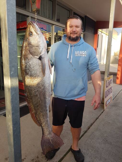 
Whopper: Our Berkley pic of the week is Steve Atkins with this terrific mulloway he recently caught off the north wall on a live mullet bait. Photo: supplied