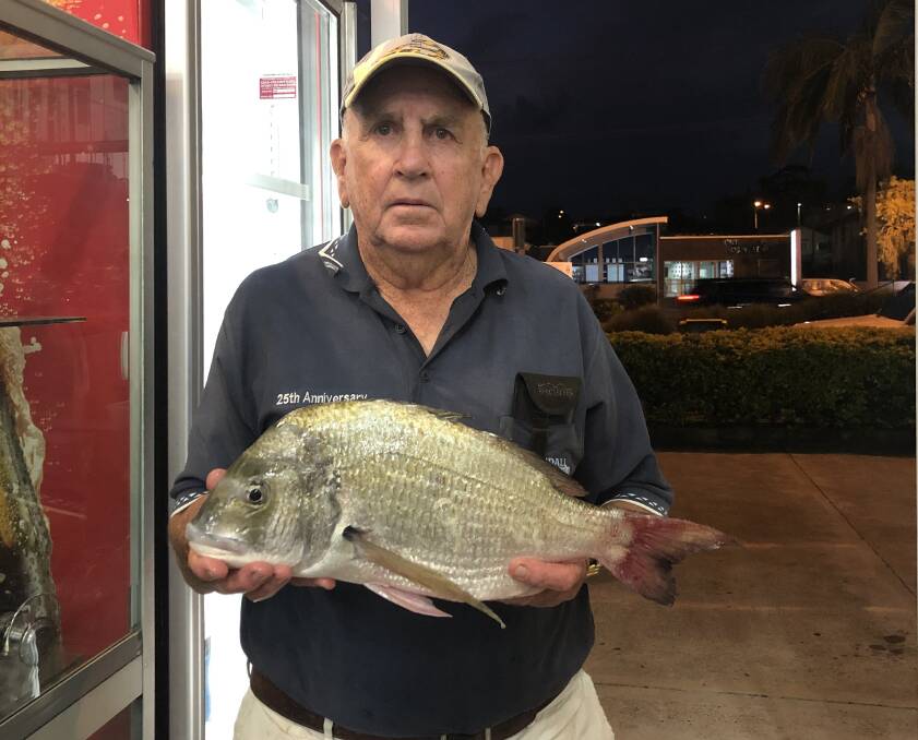 Nice meal: Our Berkley Pic of the Week is John ONeil, who recently caught this terrific 1.74 kilogram bream on North Beach using bonito strips.