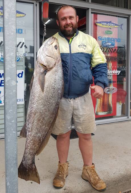 Good size: There have been some terrific mulloway around like this solid 17.2 kilogram fish Corey Water caught recently.