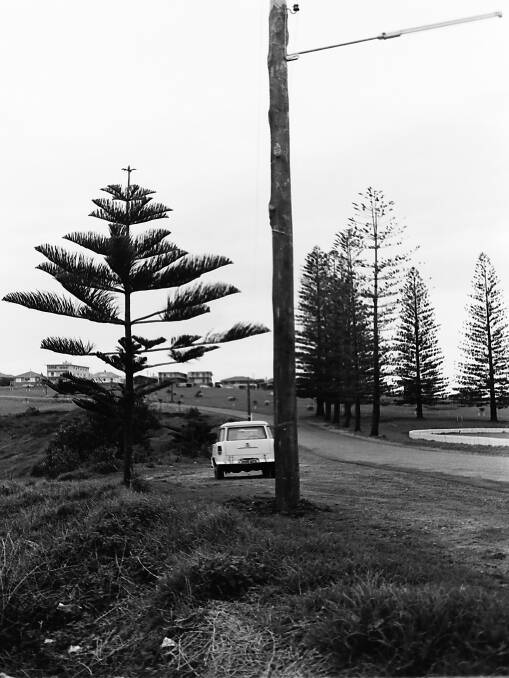 Not helpful: One of the new ugly wooden light poles along Pacific Drive, not enhancing the already neglected Oxley Beach, 1969.