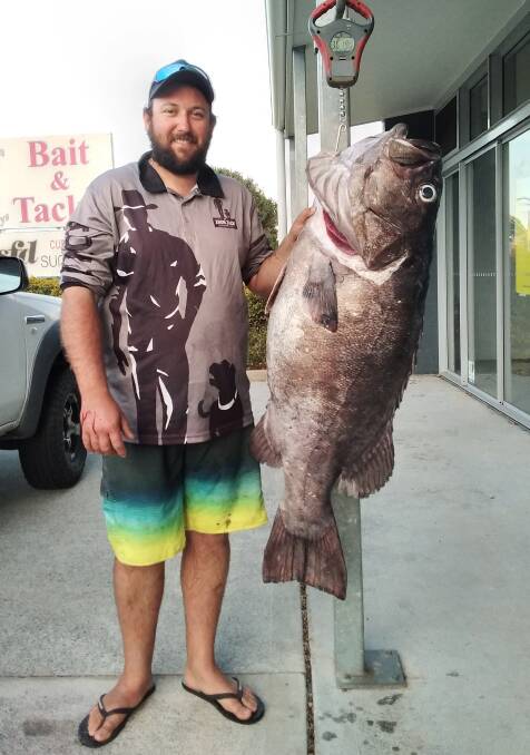 Quite a haul: Dan Rowe recently caught this terrific 36.15 kilogram bass groper fishing the deep water wide off Port Macquarie. Photo: Supplied.