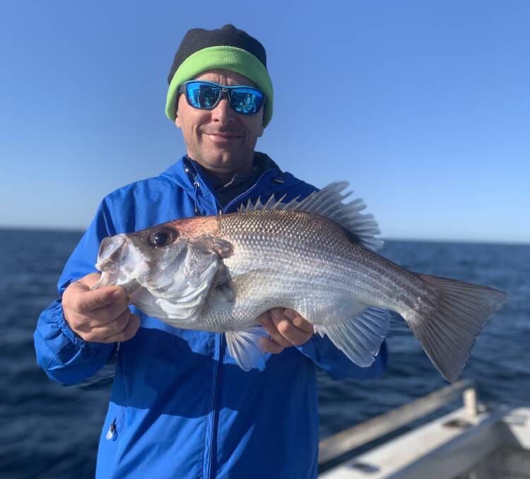 What a pearler!: Nathan Busbridge recently caught this terrific pearl perch during a trip offshore with Ocean Star Charters. Photo: supplied.