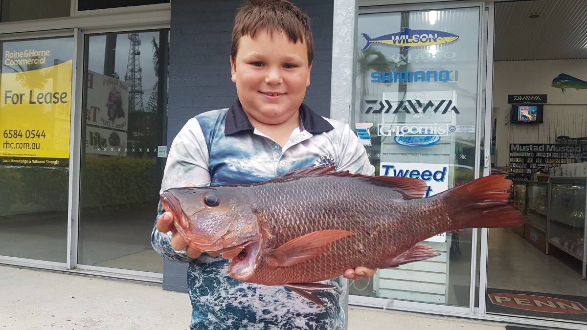 Howzat?: You couldnt wipe the smile of young visitor Darcy Wicks's face after catching this sensational 53cm mangrove jack off the breakwall on a soft plastic. Photo: supplied