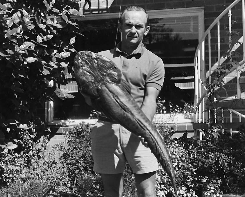 Bruce Jordan with his 14.5 pound flathead catch, 1972. Photos supplied from Port Macquarie Museum archives.