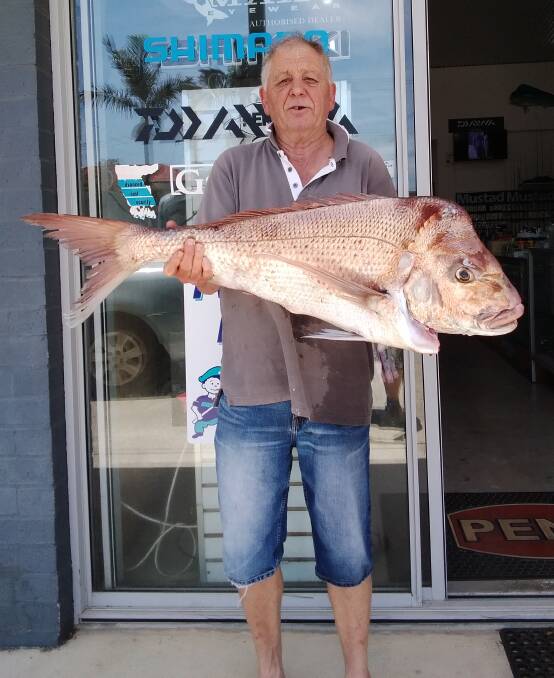 Greg Flello recently caught this terrific 7 kilogram snapper during a trip offshore with Fish Port Macquarie Charters.