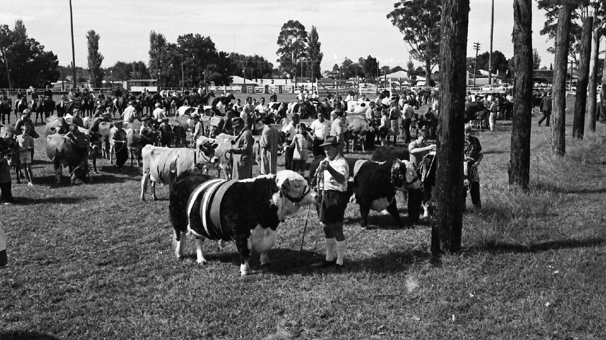 Back in 1971: Record crowd at Wauchope Show and 12th annual Easter bowls carnival