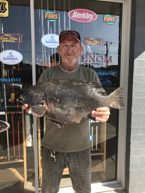 Drum roll please: Our Berkley Pic of the Week is John O’Brien with this sensational 4.120 kilogram drummer he recently caught from the rocks at Big Hill using cunjevoi.