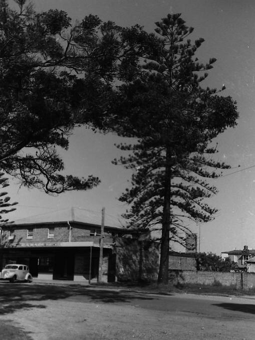 Got to go: The Norfolk Island pine tree outside the Palace Motel in Hay Street, 1963. Photos supplied by Port Macquarie Museum.