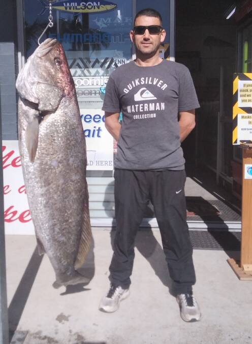 What a whopper: There have been great mulloway around this winter, like this terrific 25.6 kilogram fish Matt Lee recently caught on a lure. Photo: supplied