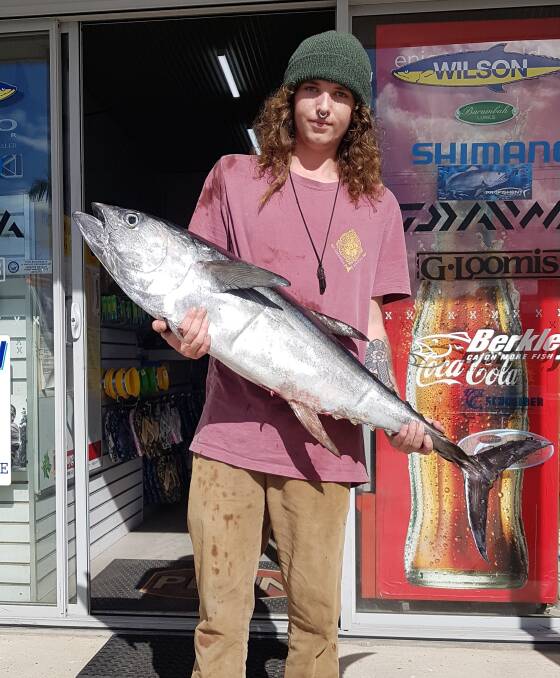 Better than canned: There are still some terrific longtail tuna about, like this solid 13.75 kilogram model Angus Ross caught recently. Photo: supplied