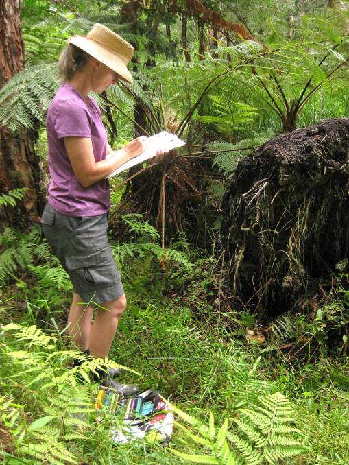 New recruit: Jean Ballands sketches some of the landscapes withing the Kooloongbung Nature Park.