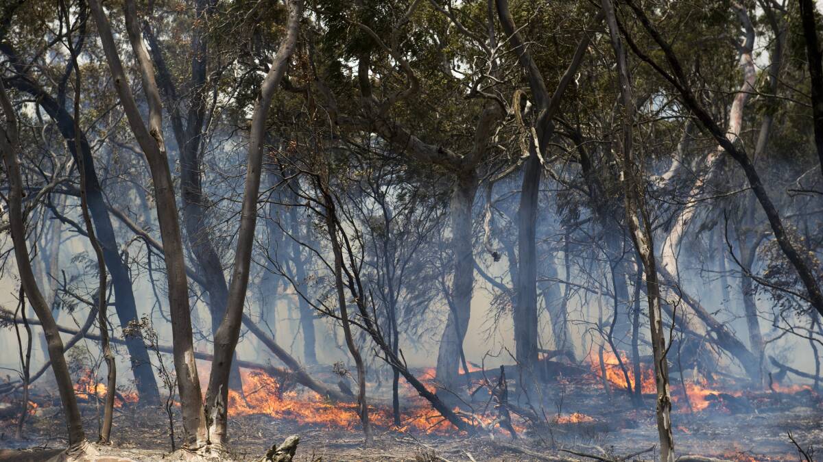 A backburn being conducted by farmers at Butmaroo Station. Picture: Dion Georgopoulos