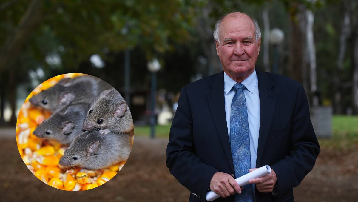 CHANGE NEEDED: Former New England MP Tony Windsor wants to see the state and federal government to step up and deal with the horrifying situation in the Central West. Photo: file