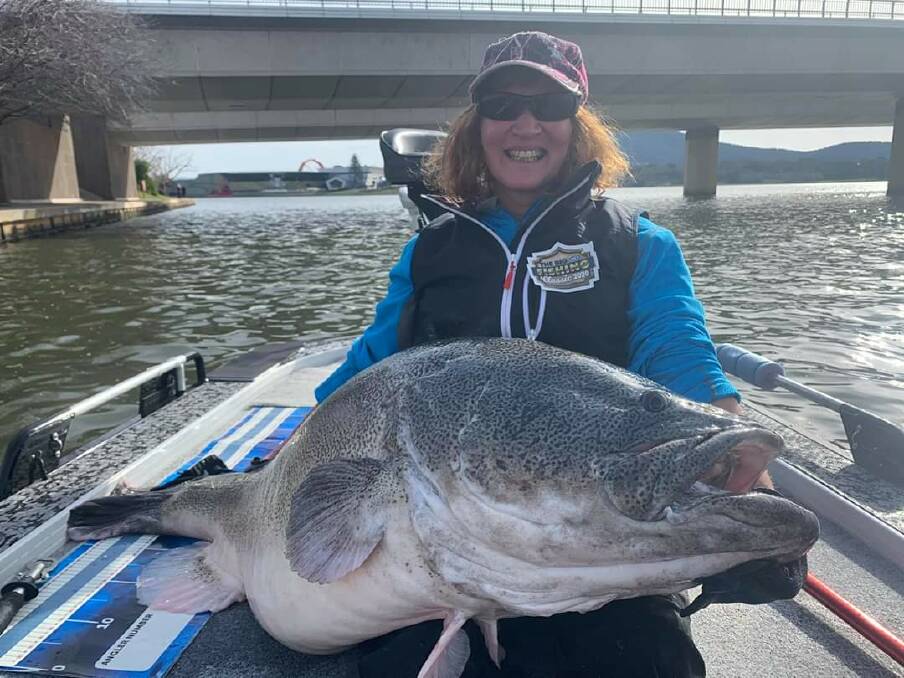 Marie Haalebos shows off a 130cm Murray cod caught from Lake Burley Griffin. Picture: Total Native Fishing