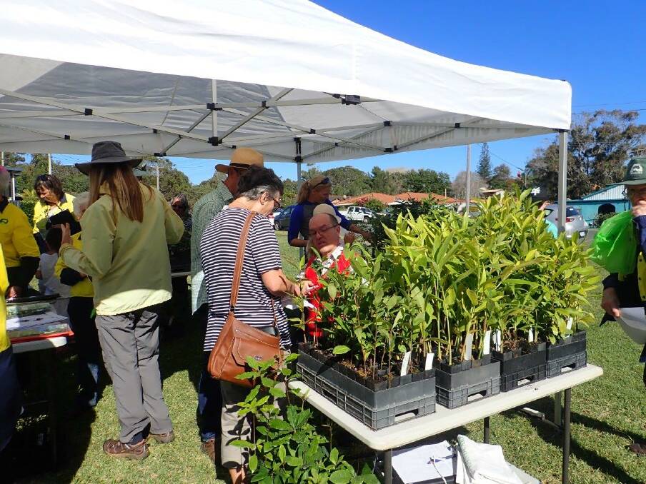 ENVIRONMENT: Landcare have grown all the native plants at their nursery. 