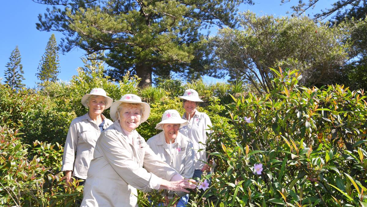 GARDEN FUN: Marg Thomas, Gillie Jones, Jenny WIlliams and Catherine Corthals among the bushes in Mrs York's Garden. Photo: Ivan Sajko.