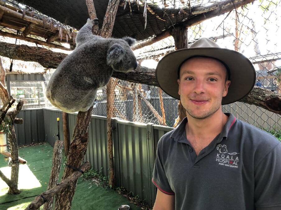 CONSERVATION: University student and Koala Hospital volunteer Clay Mueller in Port Macquarie. PHOTO: Supplied.