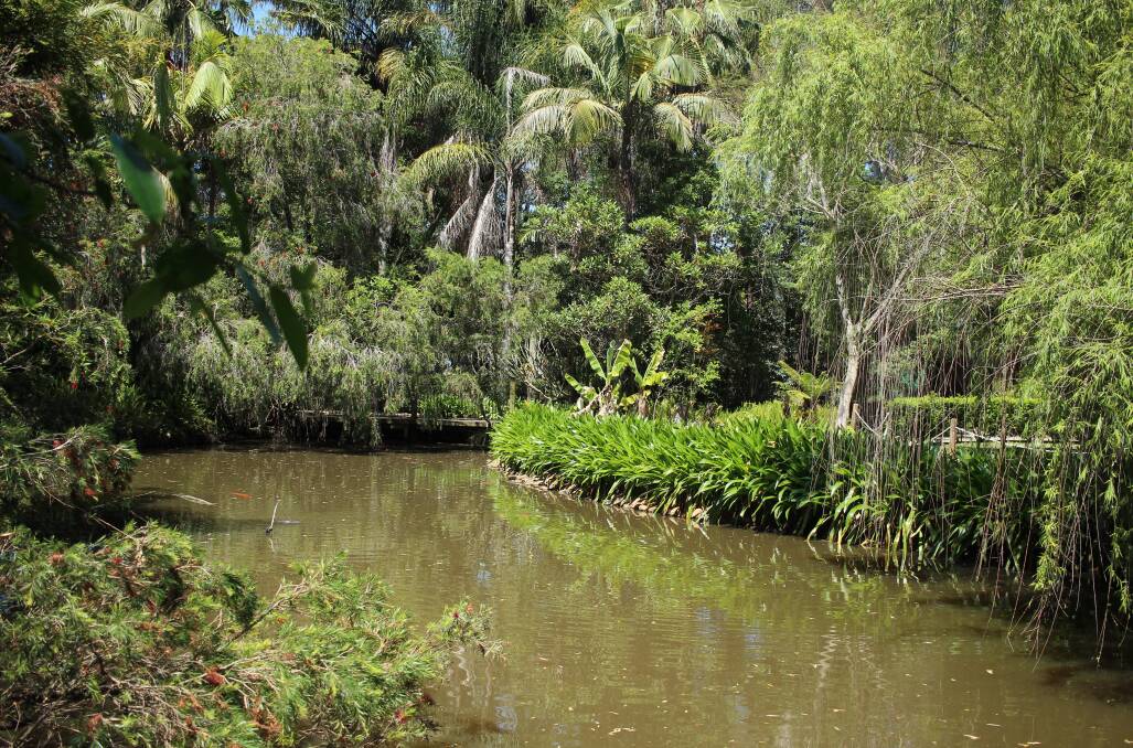 BEFORE: When there is water in the billabong the area is green and lush. PHOTO: Supplied.
