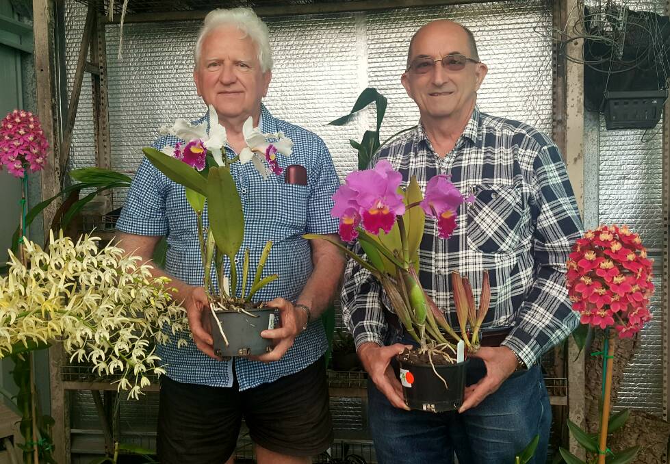ON SHOW: Wayne Stephensen and president of the Society Andrew Young with just a few of the orchids that will be on display at the show. Photo: Laura Telford.