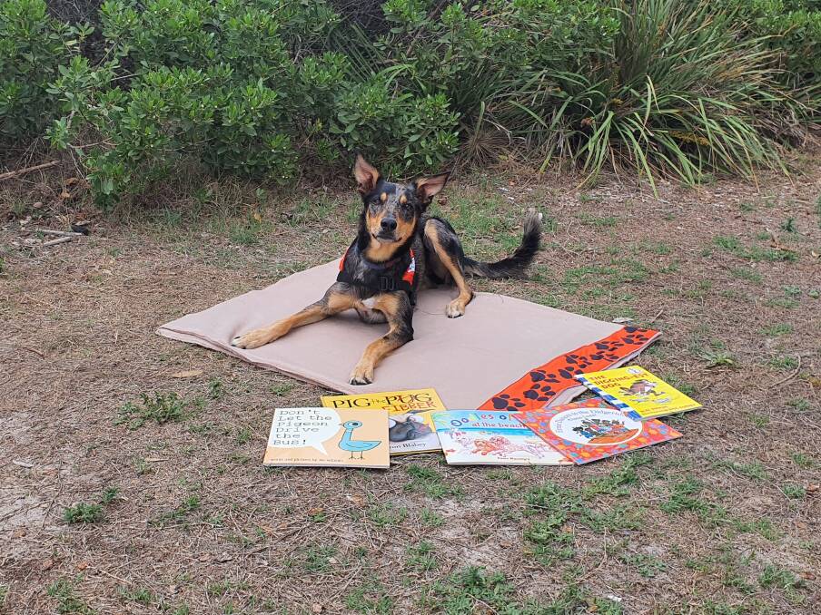 READ: Nitro with some of the books as part of the Story Dog program.