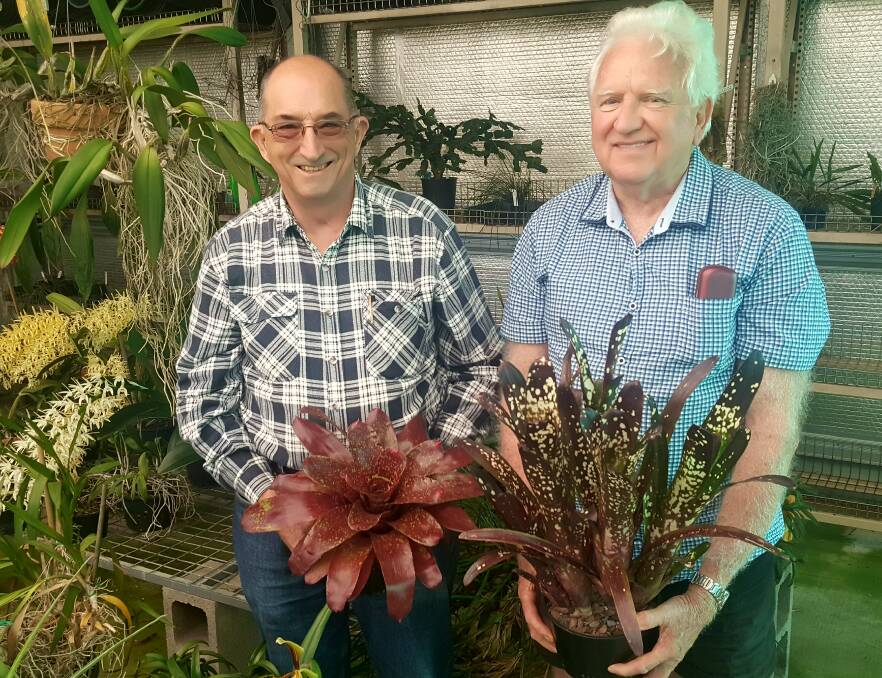 GREAT DISPLAY: President of the Society Andrew Young and Wayne Stephensen with just a few of the orchids that will be on display at the show. Photo: Laura Telford