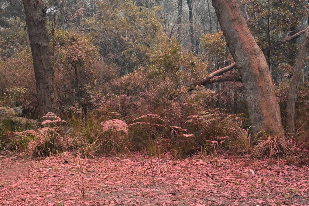 BLANKET: Fire retardant covers the bush close to homes in Lake Cathie. PHOTO: Laura Telford.