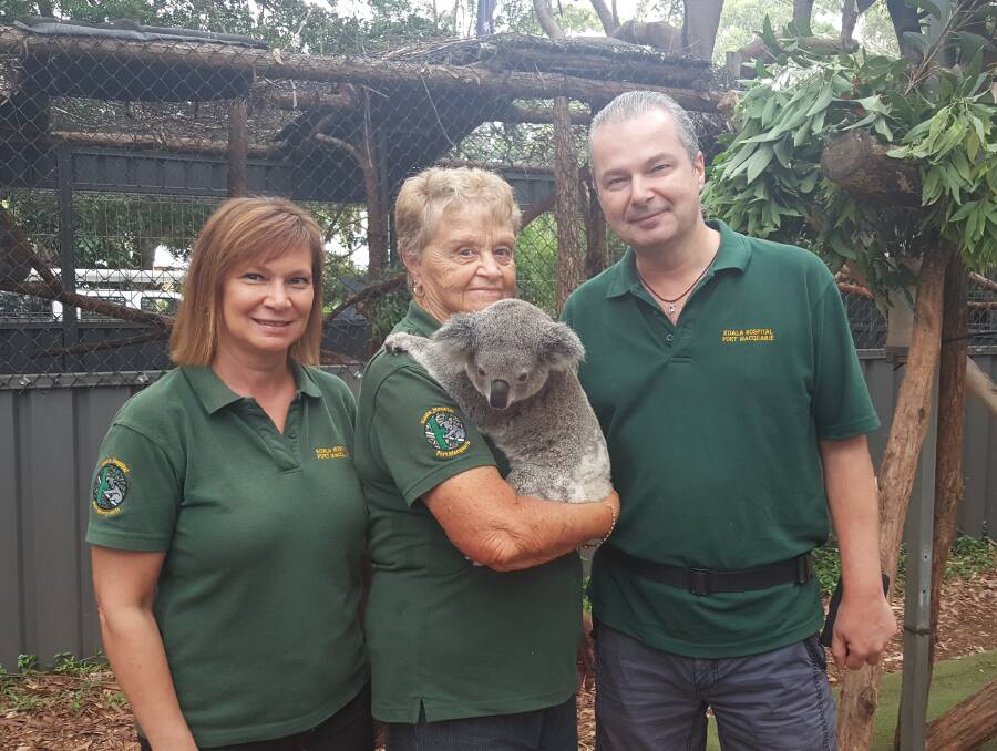 LOVE: Maria Kovac, Barb Barrett with Zenani the koala and Stefan Theiler at the Koala Hospital in Port Macquarie. Photo: Laura Telford.