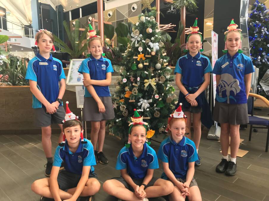 GREAT TREE: Hastings Public School are winners of the Trees of Hope competition organised by Panthers Port Macquarie.
