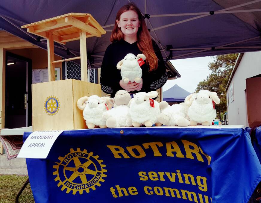 HELPING HAND: Jenni Cooper selling sheep at the Camden Haven Show. Photo: Laura Telford.