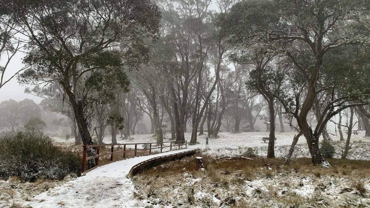 Winter wonderland delights Port Macquarie residents