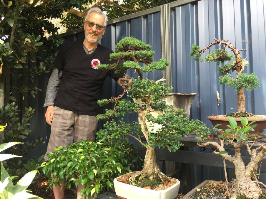Enthusiast: Rod Hockings pictured with a selection of bonsai which he has grown. 